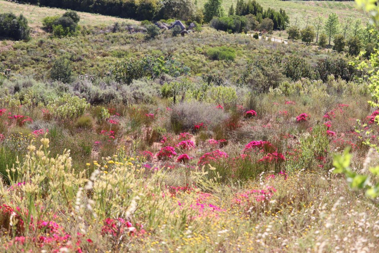 فندق Highlands Eco Estate Piketberg المظهر الخارجي الصورة