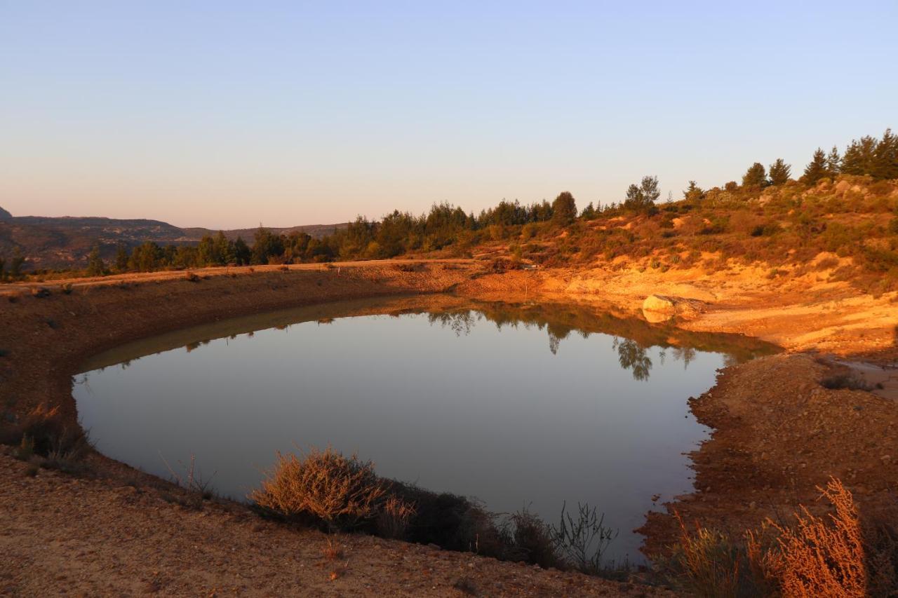 فندق Highlands Eco Estate Piketberg المظهر الخارجي الصورة