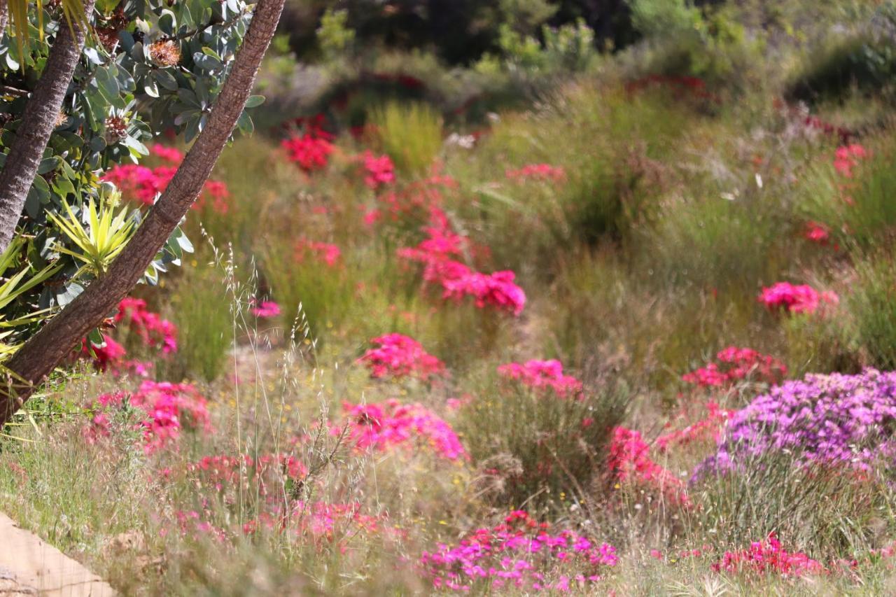 فندق Highlands Eco Estate Piketberg المظهر الخارجي الصورة