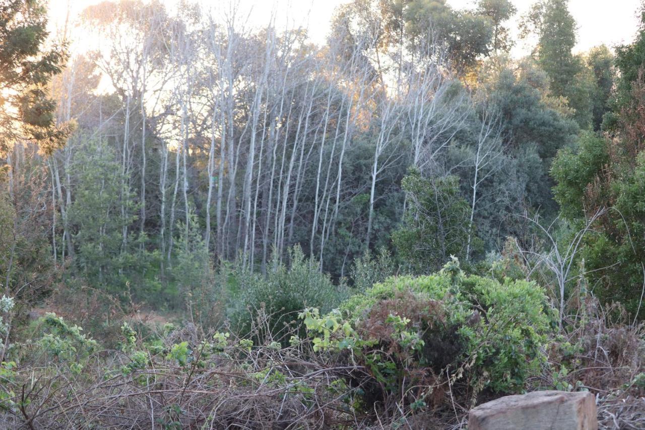 فندق Highlands Eco Estate Piketberg المظهر الخارجي الصورة